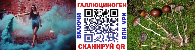 Псилоцибиновые грибы GOLDEN TEACHER  гидра tor  Лакинск 